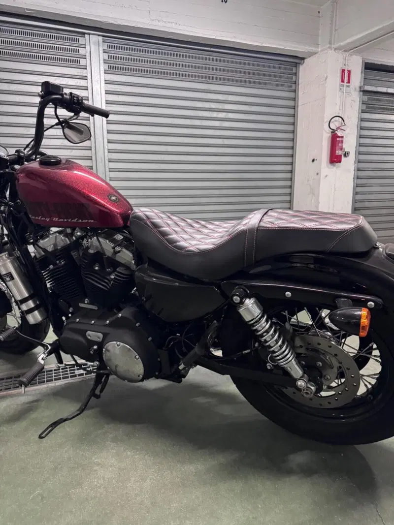 Harley-Davidson 1200 Forty-Eight (2010 - 15) (13)