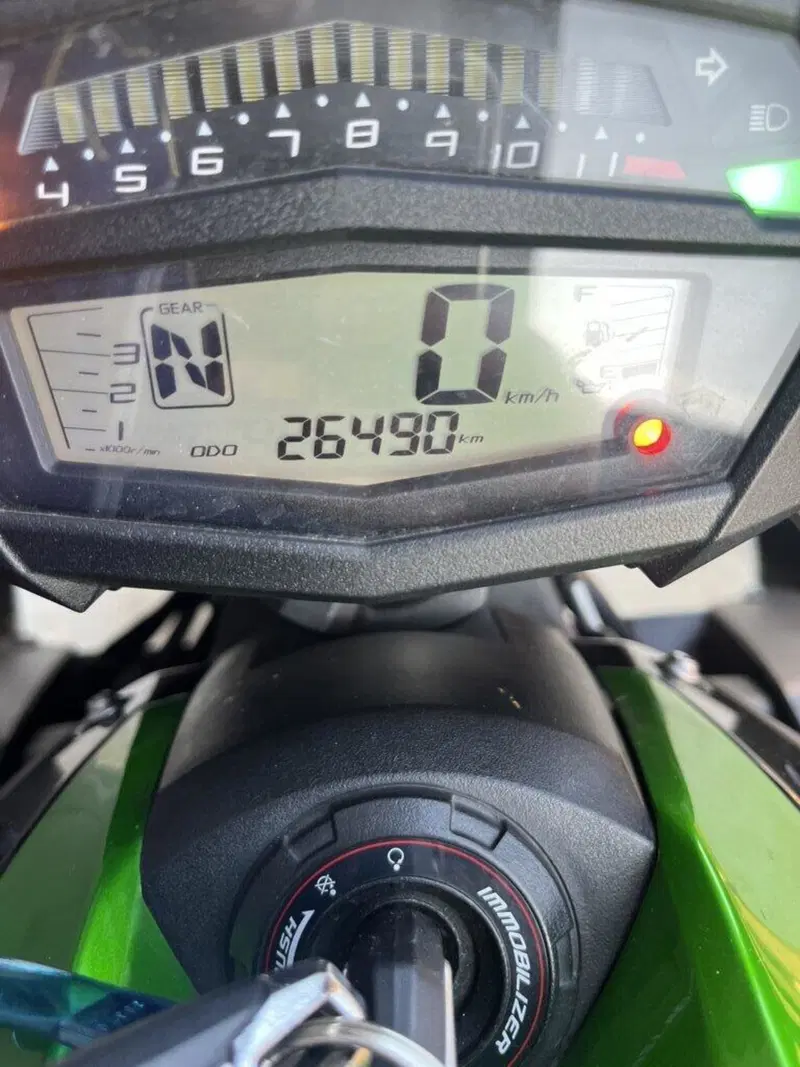 Kawasaki Z 1000 R (2017 - 20) (4)