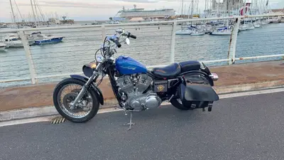 Harley-Davidson 883  d'epoca