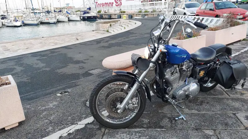 Harley-Davidson 883  (2)