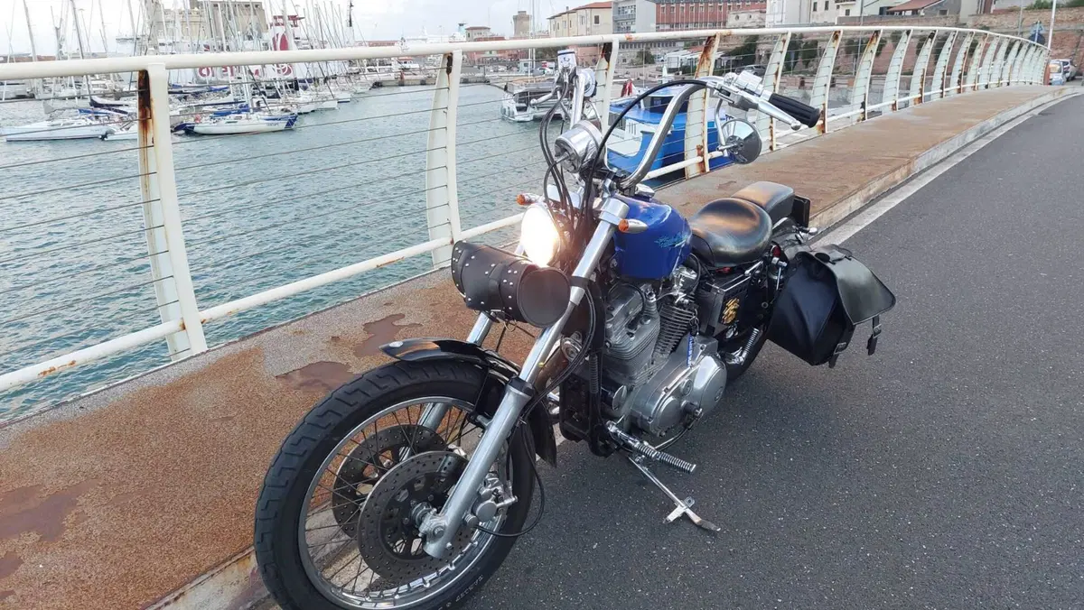 Harley-Davidson 883  (5)