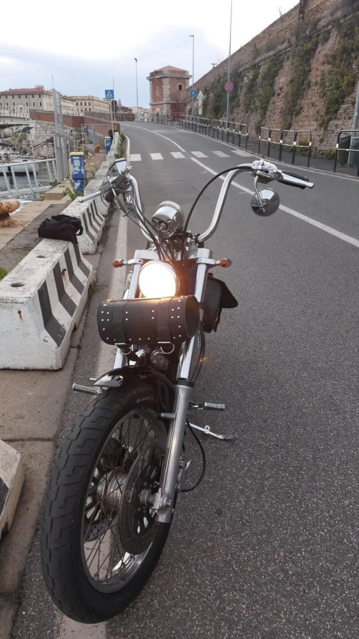 Harley-Davidson 883  (6)