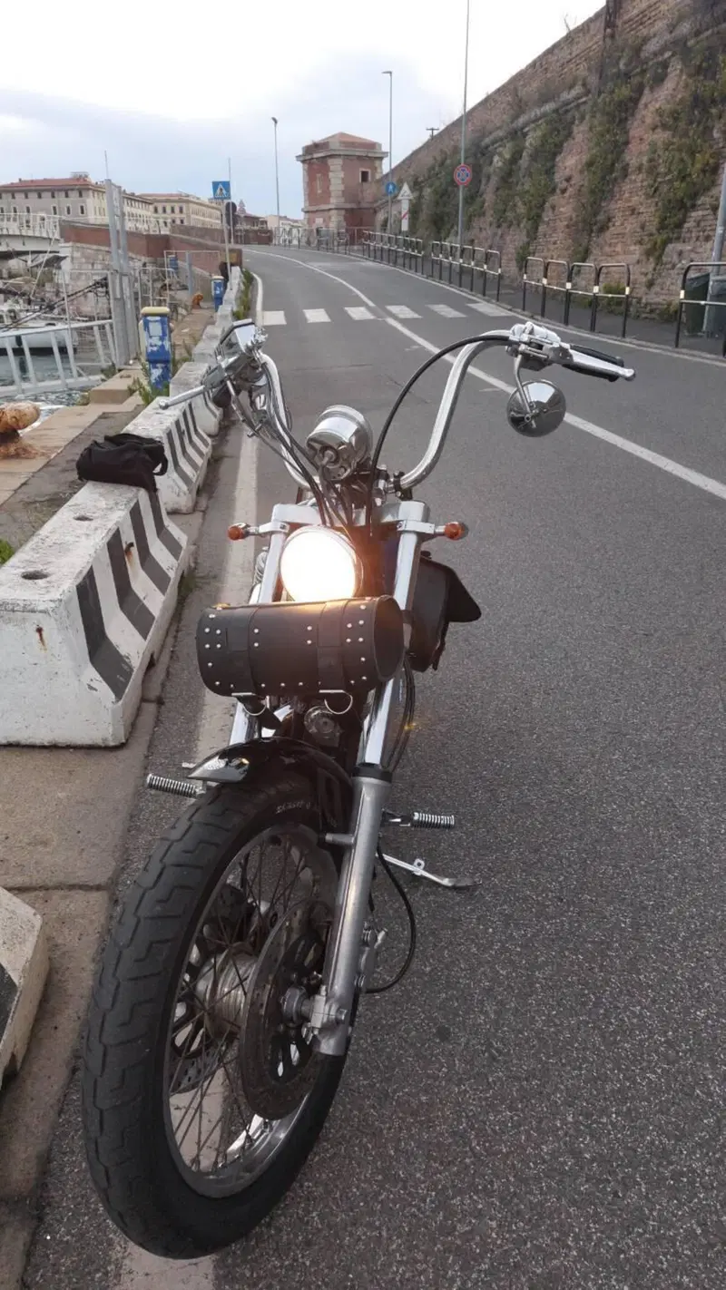 Harley-Davidson 883  (6)