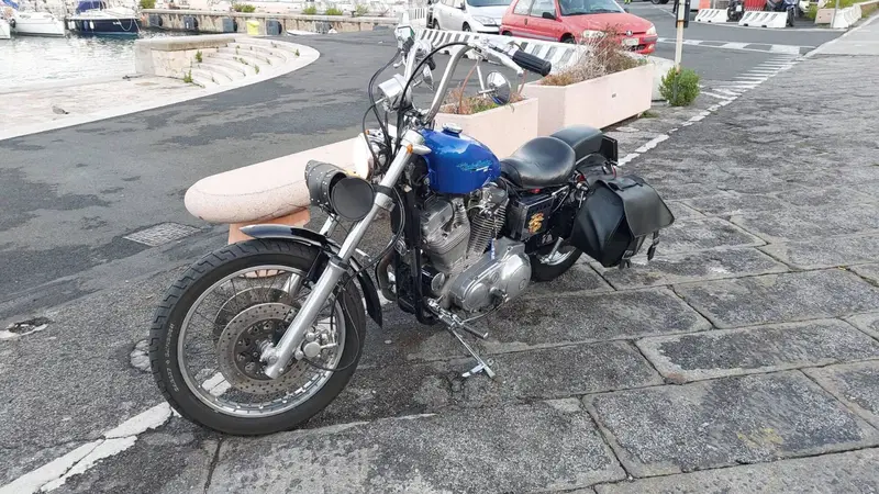 Harley-Davidson 883  (7)