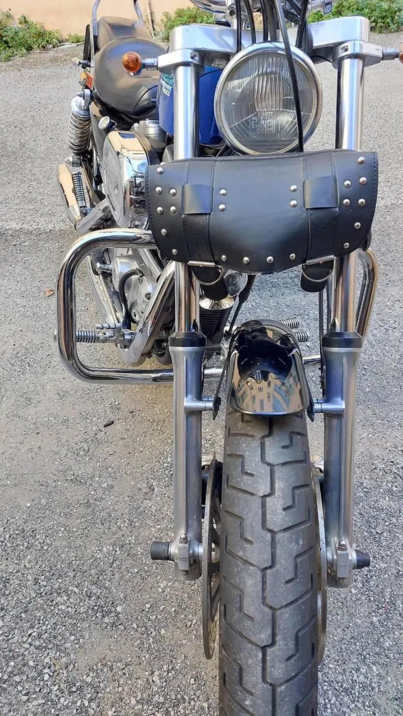 Harley-Davidson 883  (9)