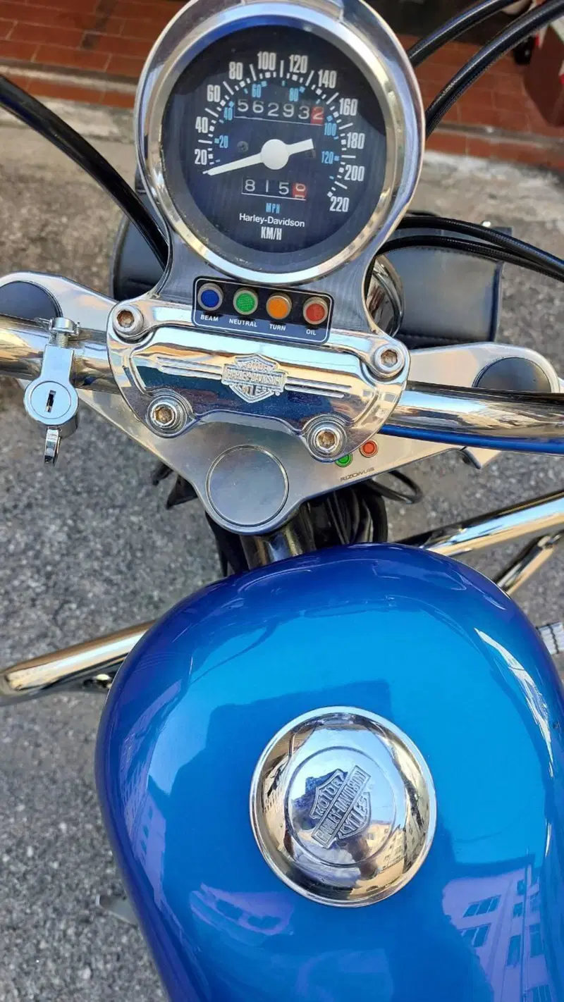 Harley-Davidson 883  (10)
