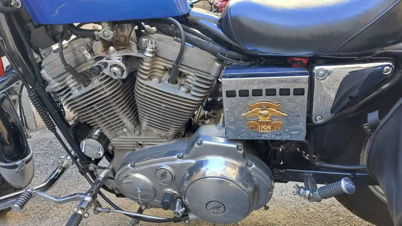 Harley-Davidson 883  (11)