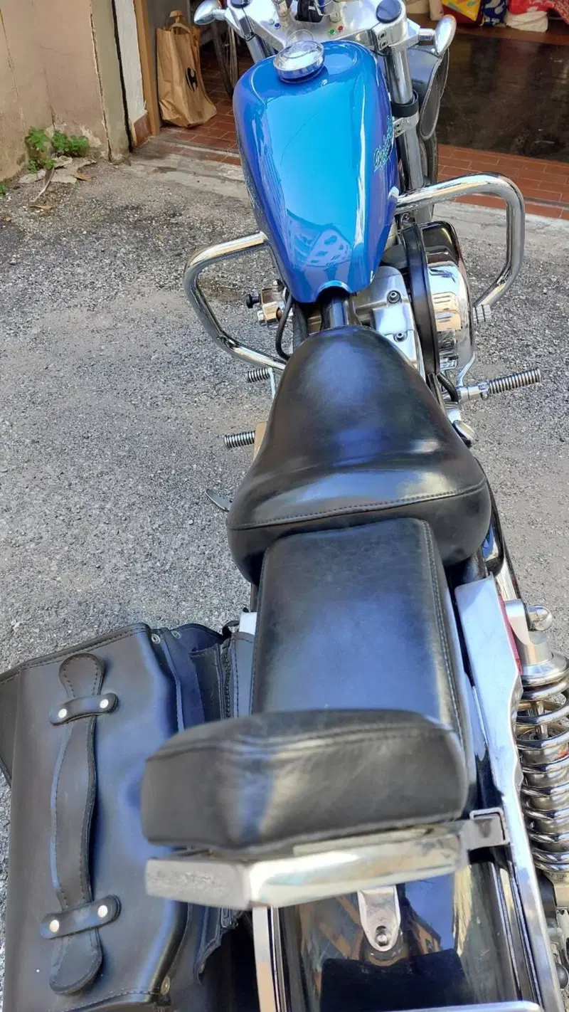Harley-Davidson 883  (12)