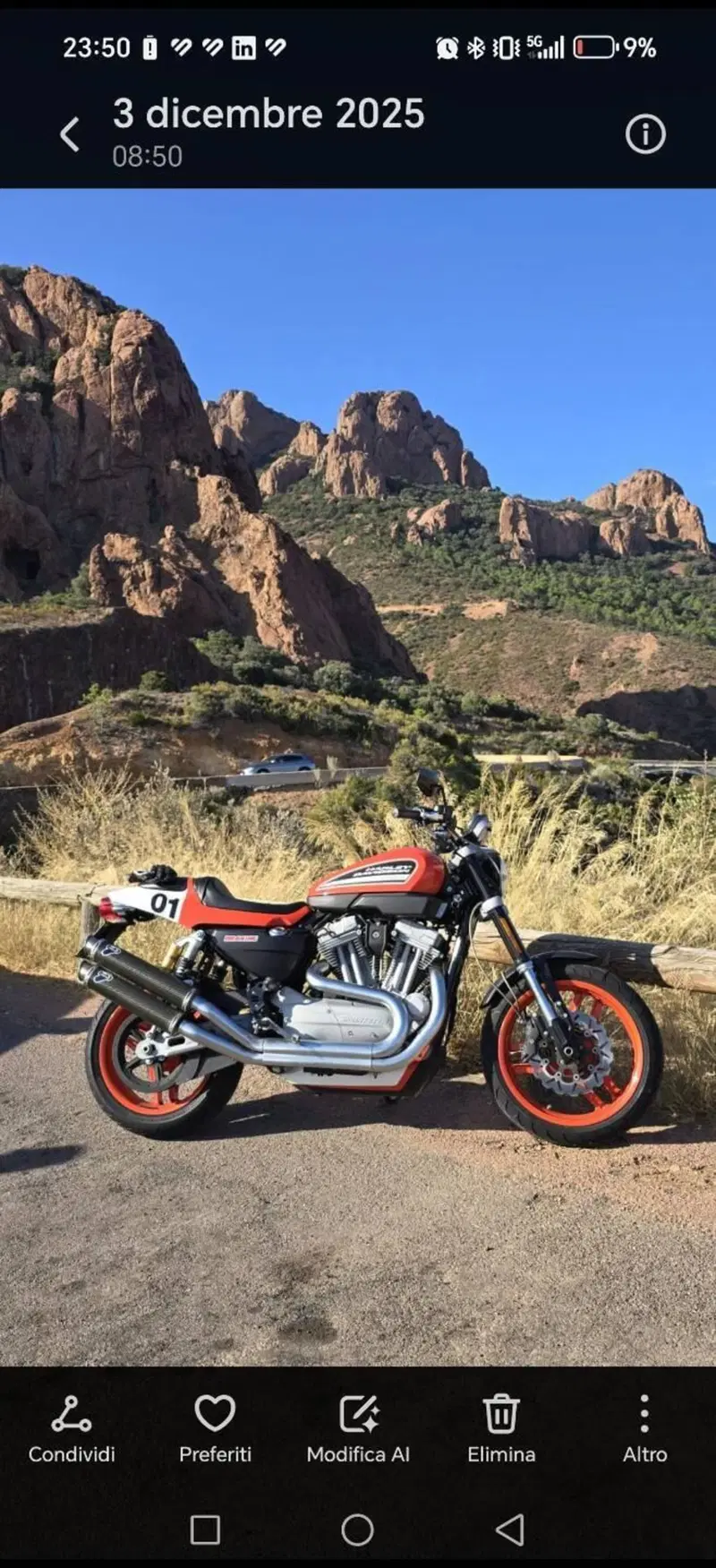 Harley-Davidson 1200 XR (2009 - 12) (6)