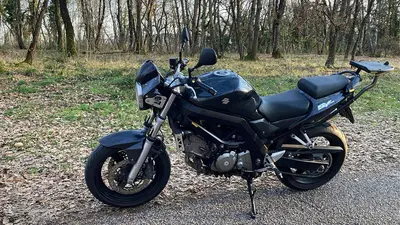 Suzuki SV 650 (2006 - 11) usata