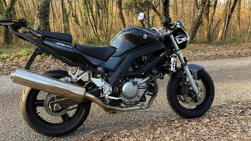 Suzuki SV 650 (2006 - 11) (2)