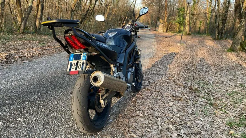 Suzuki SV 650 (2006 - 11) (6)