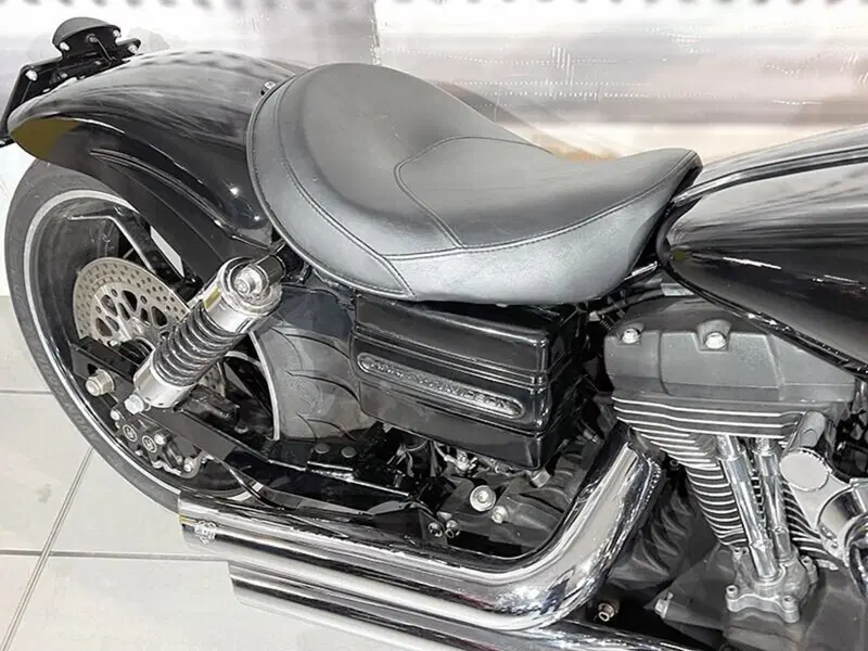 Harley-Davidson 1584 Street Bob (2007) - FXDB (4)