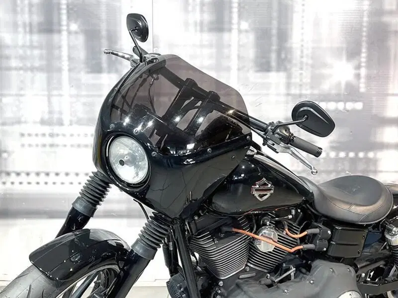 Harley-Davidson 1584 Street Bob (2007) - FXDB (5)