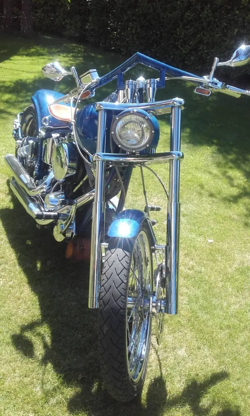 Harley-Davidson 1340 Custom (1989 - 98)