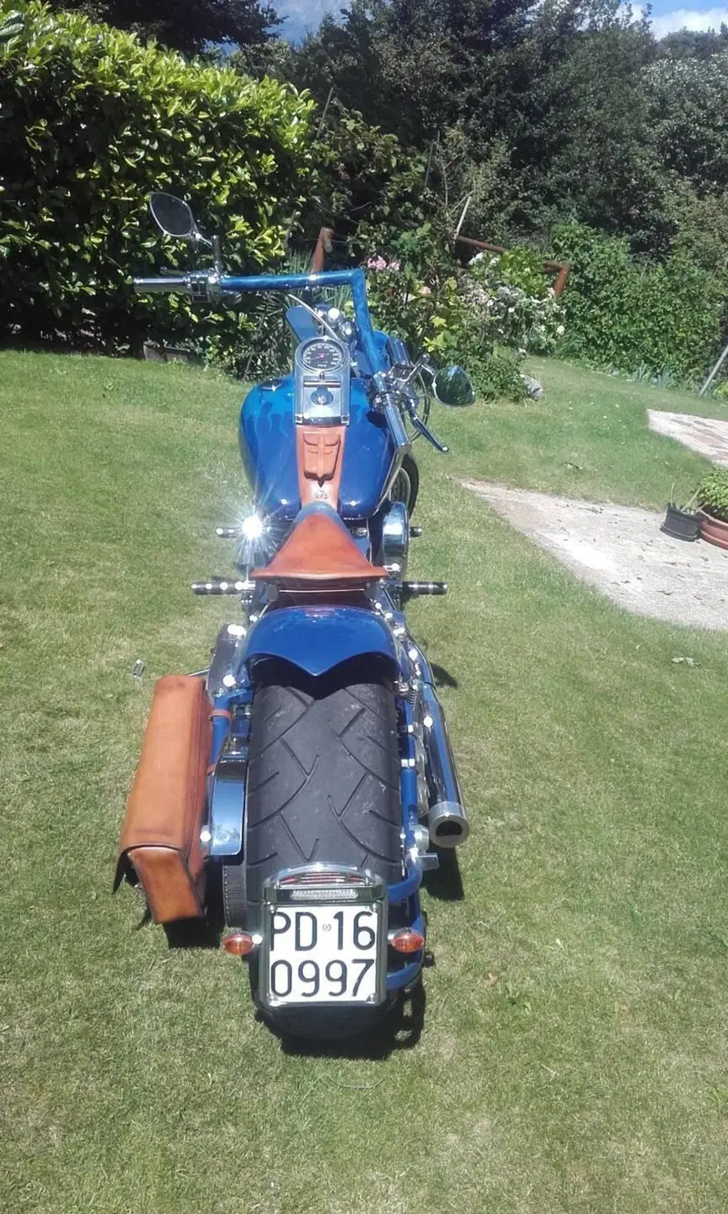 Harley-Davidson 1340 Custom (1989 - 98) (2)
