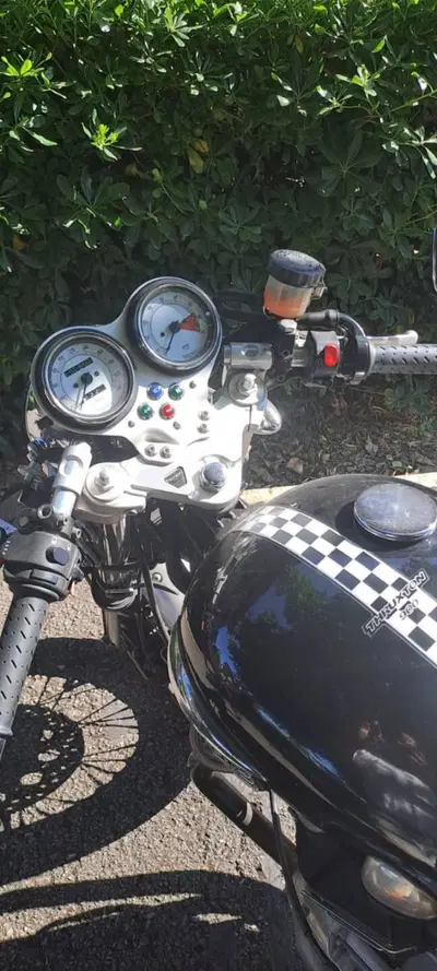 Triumph Thruxton 900 (2004 - 15) usata