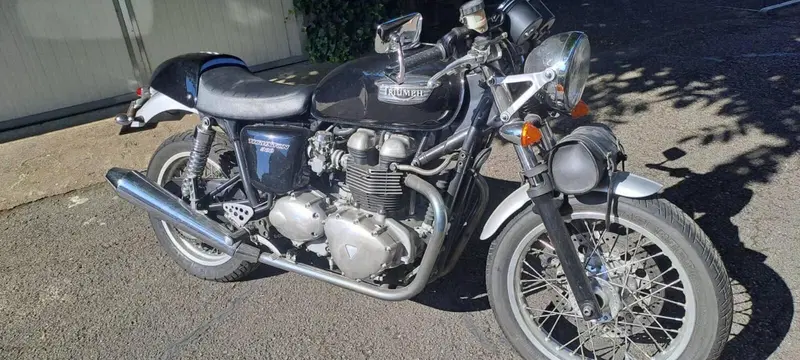 Triumph Thruxton 900 (2004 - 15) (4)