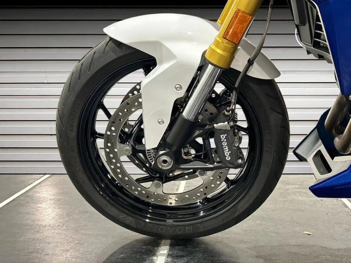 Bmw F 900 R (2017 - 20) (15)