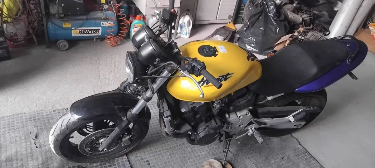 Honda Hornet 600 (2000 - 02) (2)