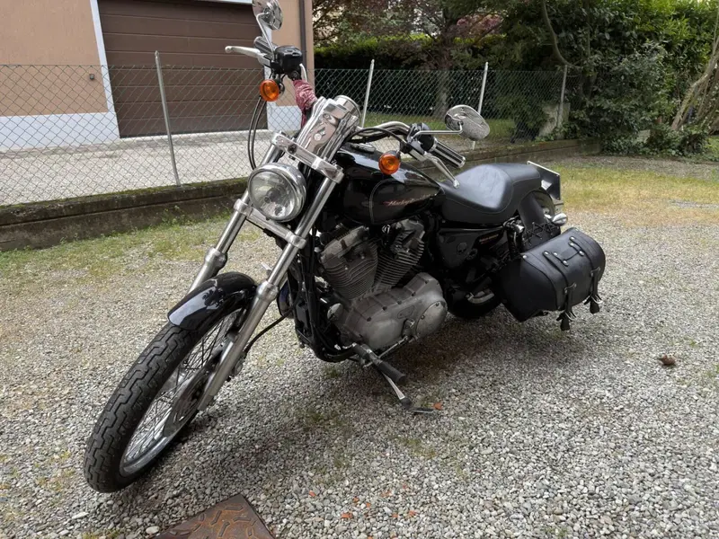Harley-Davidson 883 Custom (2006 - 07) - XL 883C