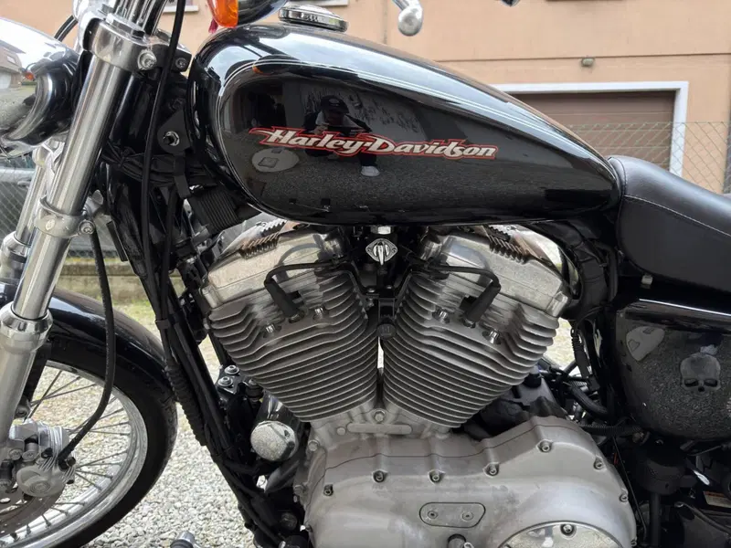 Harley-Davidson 883 Custom (2006 - 07) - XL 883C (2)