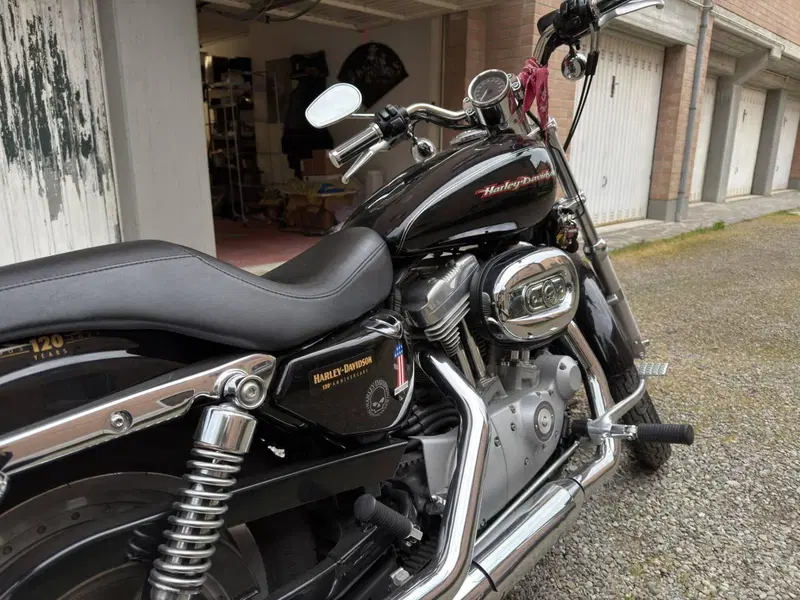 Harley-Davidson 883 Custom (2006 - 07) - XL 883C (3)