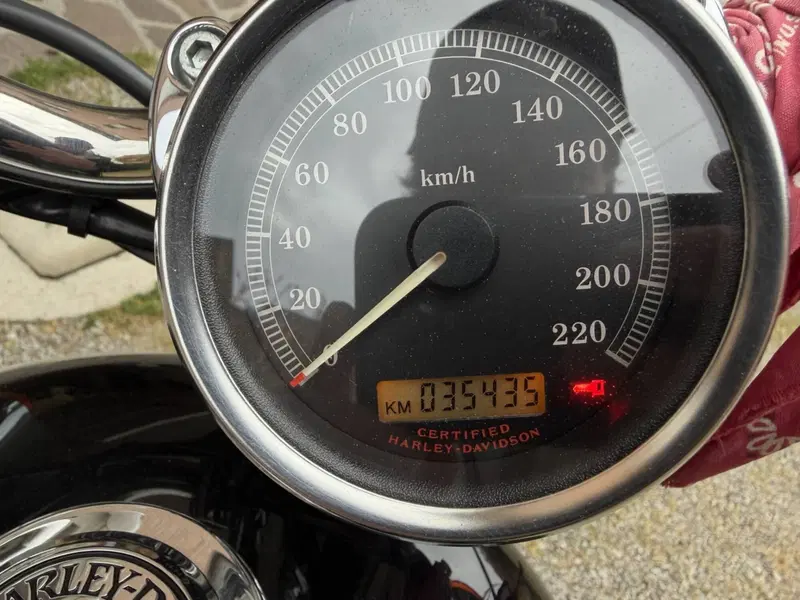 Harley-Davidson 883 Custom (2006 - 07) - XL 883C (4)