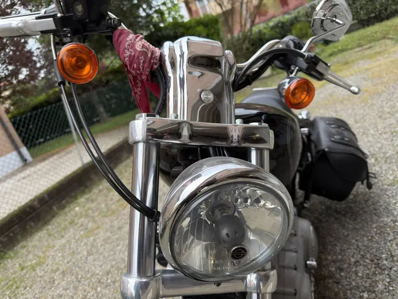 Harley-Davidson 883 Custom (2006 - 07) - XL 883C (5)