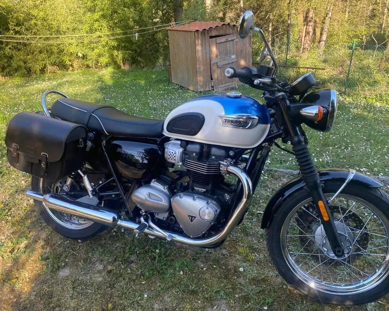 Triumph Bonneville T100 (2017 - 20) (2)