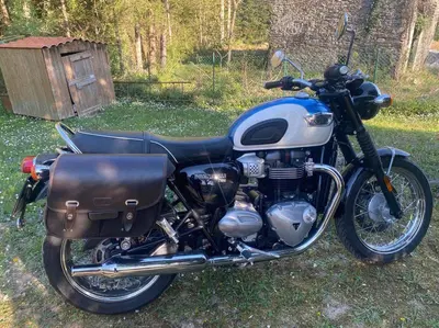 Triumph Bonneville T100 (2017 - 20) usata