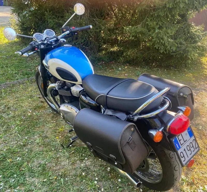 Triumph Bonneville T100 (2017 - 20) (6)