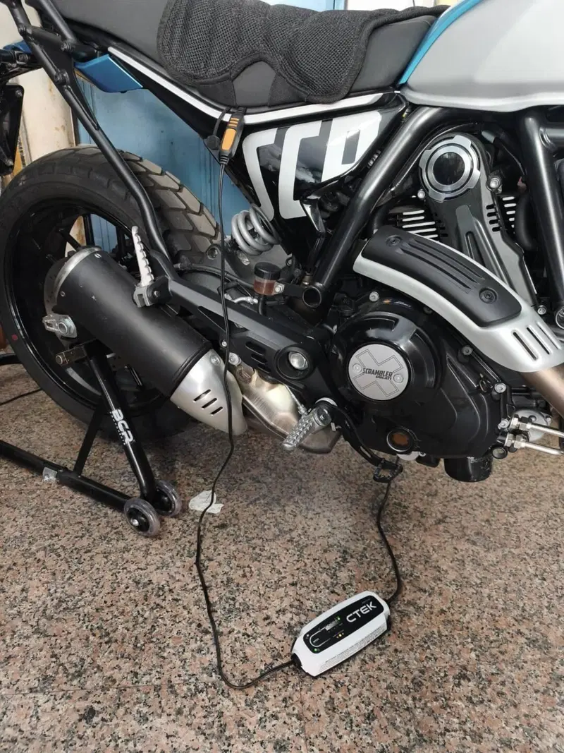 Ducati Scrambler 800 Icon (2023 - 24) (4)