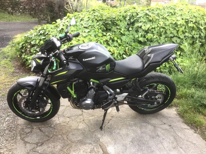 Kawasaki Z 650 (2020) (2)