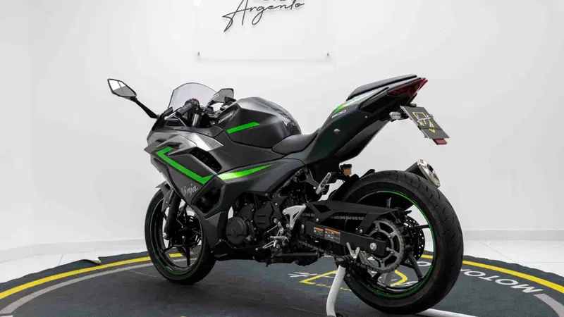 Kawasaki Ninja 500 SE (2024 - 26) (5)