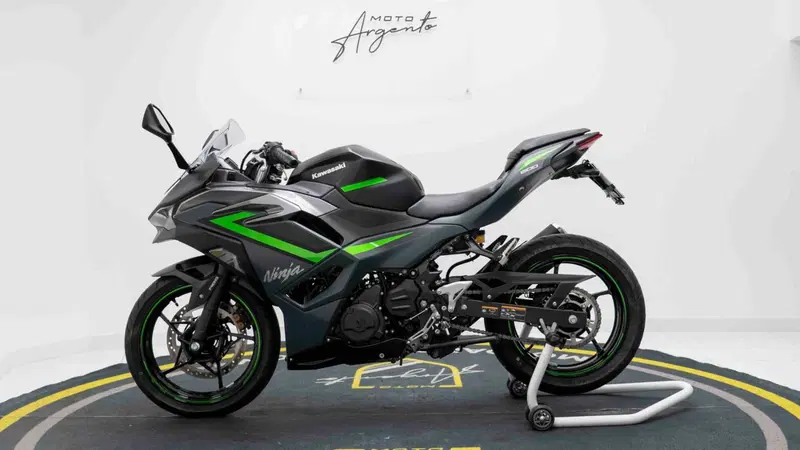 Kawasaki Ninja 500 SE (2024 - 26) (6)