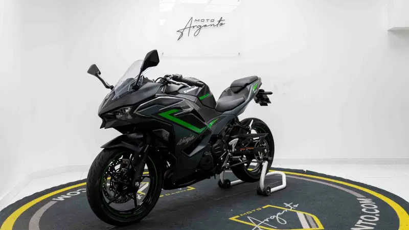 Kawasaki Ninja 500 SE (2024 - 26) (7)