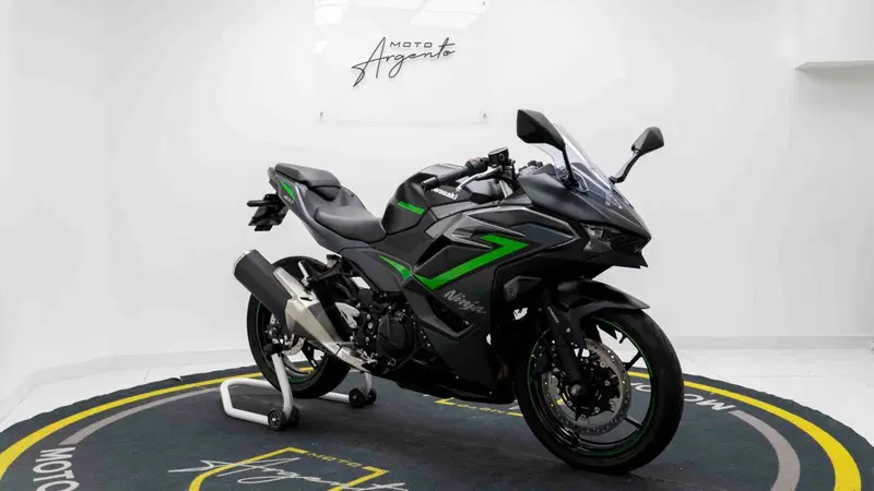Kawasaki Ninja 500 SE (2024 - 26) (9)