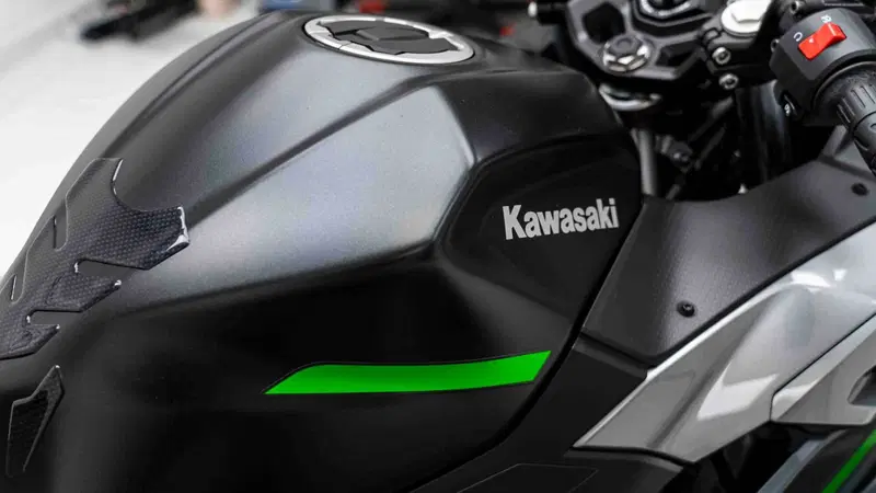 Kawasaki Ninja 500 SE (2024 - 26) (11)