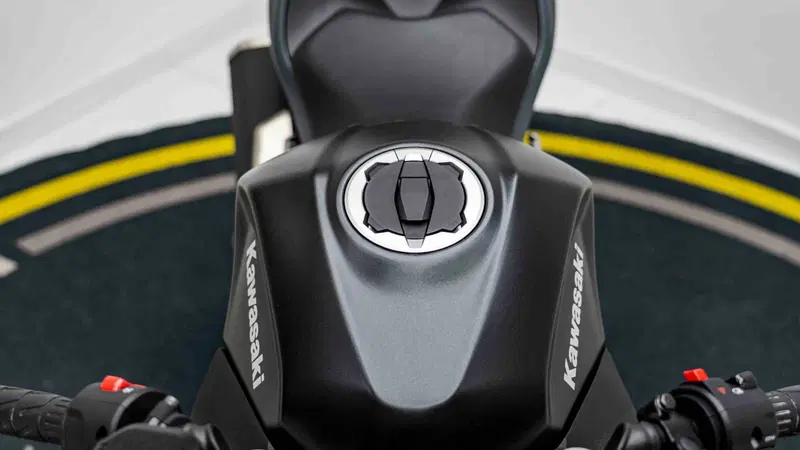 Kawasaki Ninja 500 SE (2024 - 26) (19)