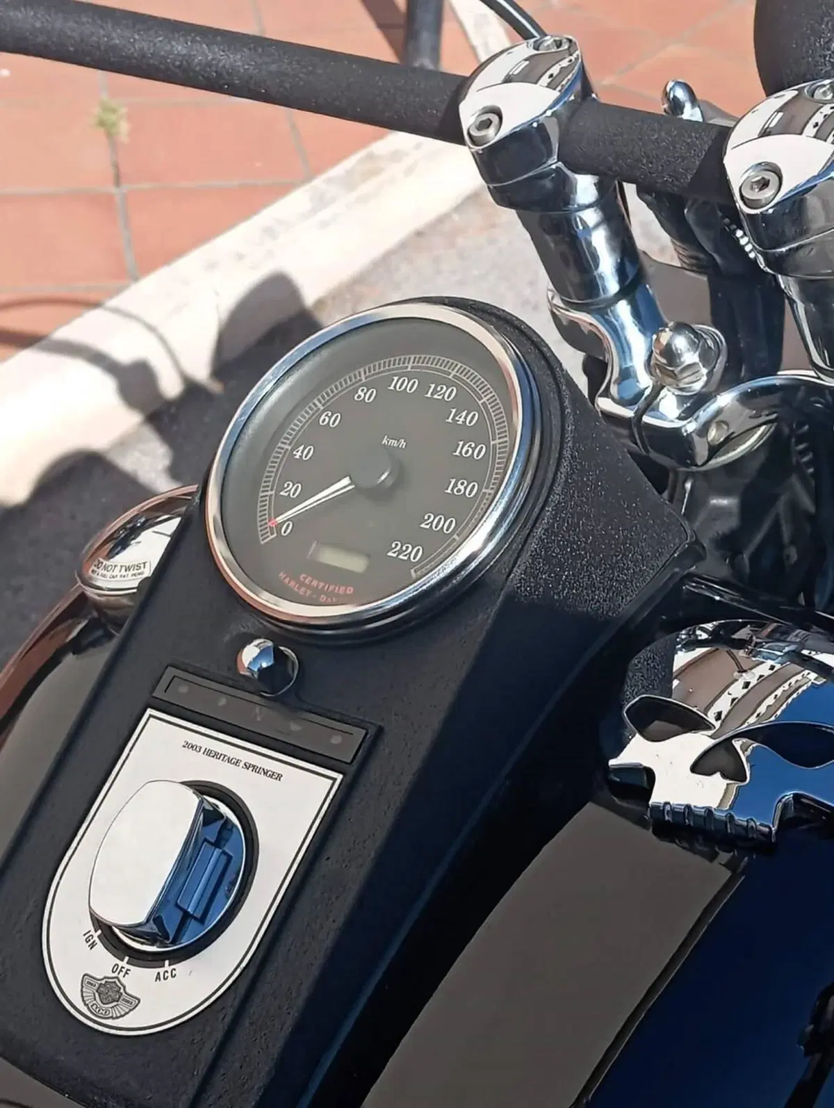 Harley-Davidson FLSTS Heritage Springer 100th (3)
