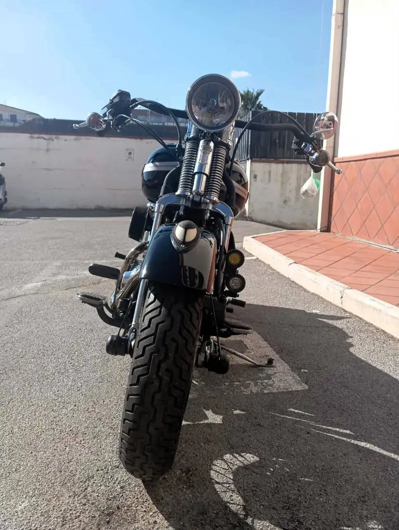 Harley-Davidson FLSTS Heritage Springer 100th (5)