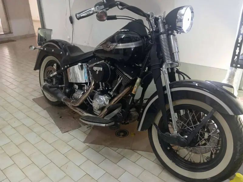 Harley-Davidson FLSTS Heritage Springer 100th (6)