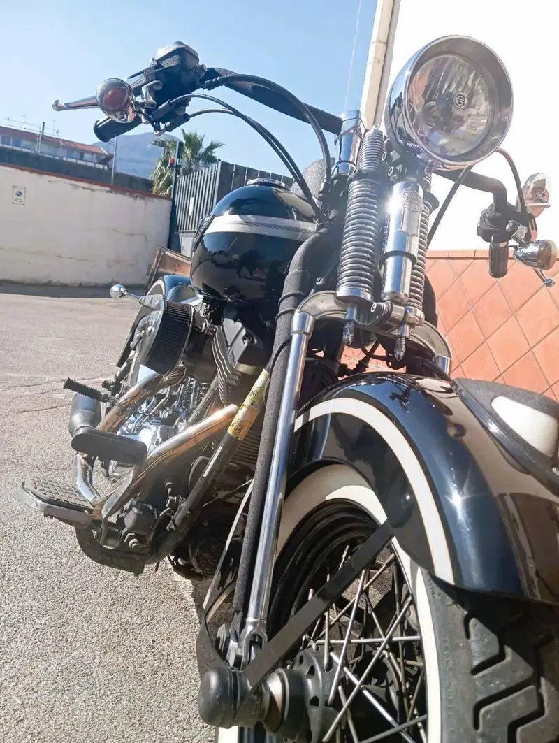 Harley-Davidson FLSTS Heritage Springer 100th (7)