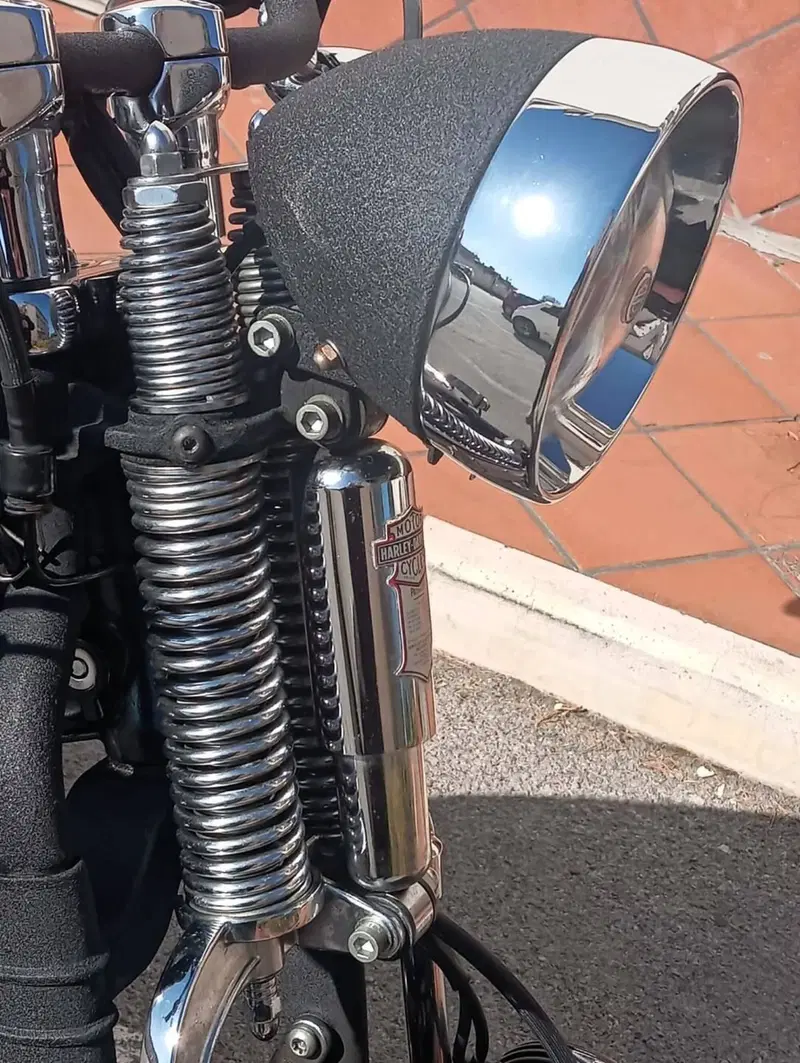 Harley-Davidson FLSTS Heritage Springer 100th (11)