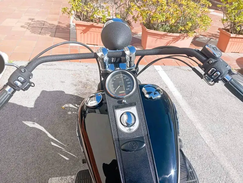 Harley-Davidson FLSTS Heritage Springer 100th (12)