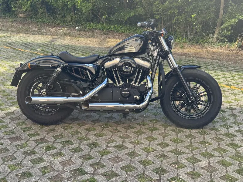 Harley-Davidson 1200 Forty-Eight (2016 - 20) (8)