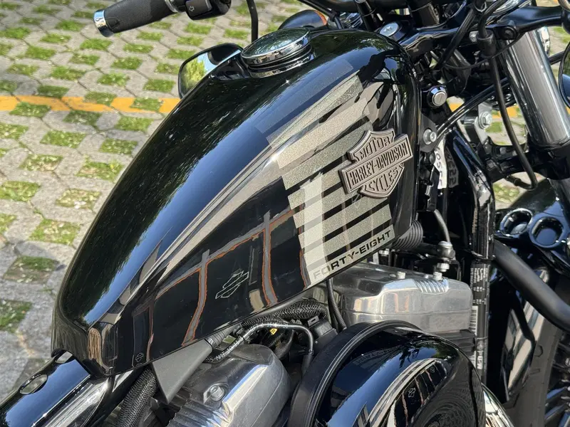 Harley-Davidson 1200 Forty-Eight (2016 - 20) (7)