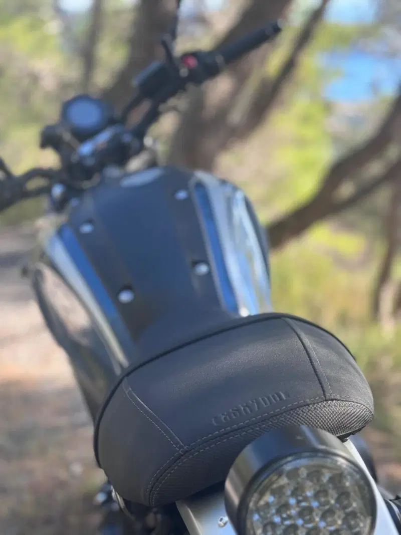 Yamaha XSR 900 ABS (2016 - 20) (3)