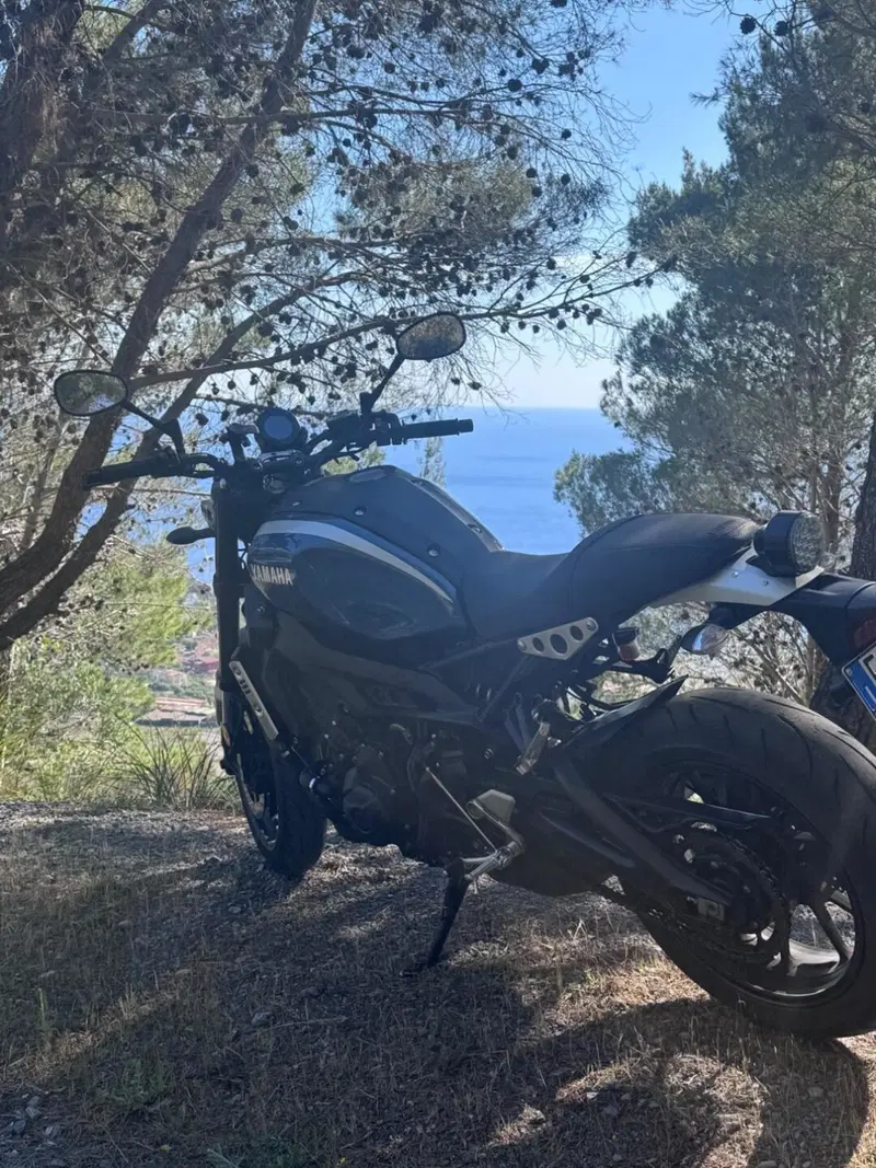 Yamaha XSR 900 ABS (2016 - 20) (4)